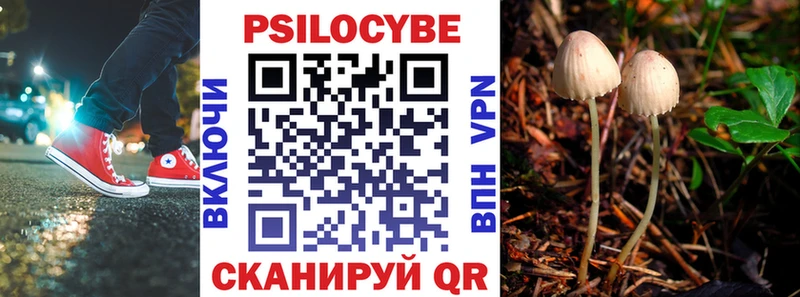 цены наркотик  Верхняя Салда  Псилоцибиновые грибы GOLDEN TEACHER 